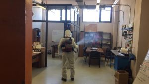 COVID-19 Güvenli Hizmet Belgesic