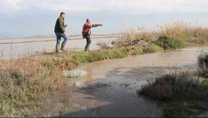 Foçada Tarım Arazilerini Basan Sular Tahliye Edilmeye Çalışılıyor 