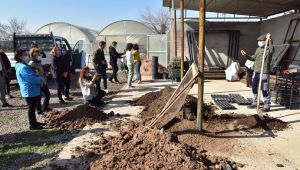 Gönüllüler yaz tohumlarını ekti 