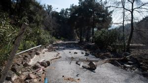 Homeros vadisi ayağa kalkıyor