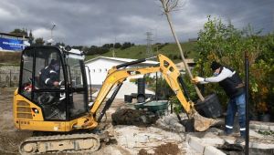 Karabağlar’ın fidanlığı yeşerdi