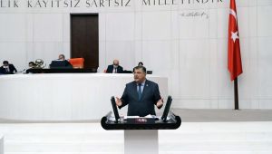  “Karanlıkta ayı değil, aydınlıkta güneşi görmek istiyoruz!”