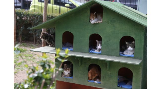 Karşıyaka Belediyesi’nden can dostlar için temizlik çalışması