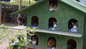 Karşıyaka Belediyesi’nden can dostlar için temizlik çalışması