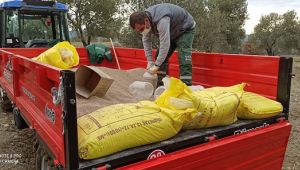 Rekolteyi İkiye Katlamak