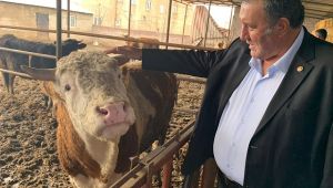 “Yem fiyatlarındaki artış hayvancılığı tehdit ediyor”