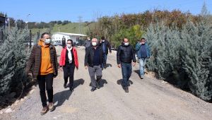 Başkan Selvitopu yeni fidanlığı inceledi