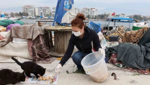 Can dostlara beslenme desteği 
