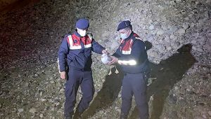 İzmir'de jandarmanın kurtardığı yaralı martı tedavi altına alındı