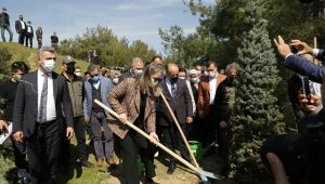 Seferihisar'da Arıcılık Harekatı 