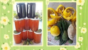 Şifa Kaynağı: Ilgaz Çam Kozalağı Pekmezi