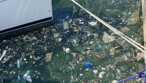 Şirin Beldede Kirlilik Sorunu