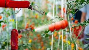 Tarımsal kalkınmanın anahtarı planlı ve sürdürülebilir bir üretim politikası 
