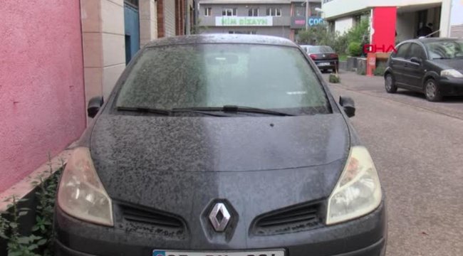 İzmir'e .amur yağdı