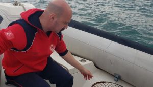 Yaralı bulunan caretta caretta tedaviye alındı