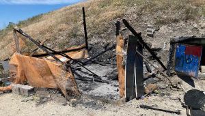 Ankara'da kameriye yangını; 12 güvercin öldü