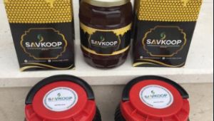 Şifanın Tarladan Tabağa Kesintisiz Yolculuğu