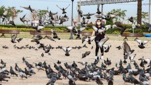 Sokak hayvanlarına yaklaşık 110 ton mama bırakıldı