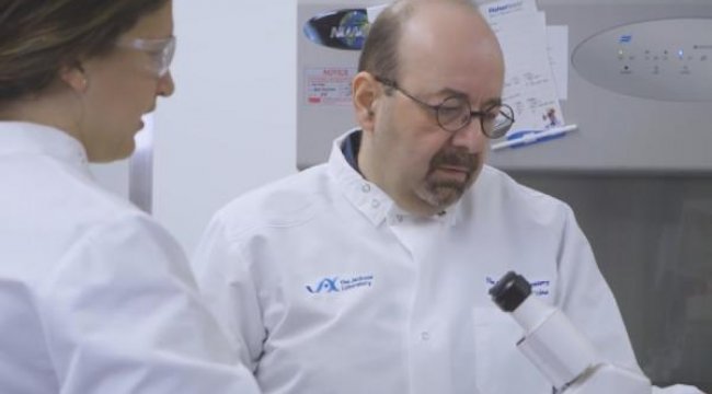 Prof. Dr. Unutmaz: İlaç denemelerinde yapay organ dönemi başlıyor