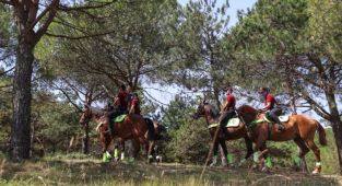 İstanbul valiliği 30 temmuz - 31 ağustos tarihleri arasında ormanlara girmeyi yasakladı
