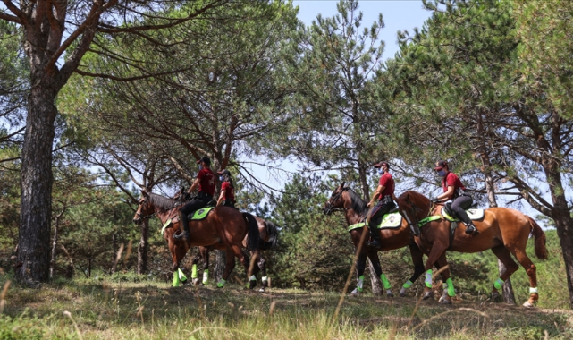 İstanbul valiliği 30 temmuz - 31 ağustos tarihleri arasında ormanlara girmeyi yasakladı