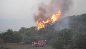 Manisa'daki orman yangınında 'sabotaj' şüphesi