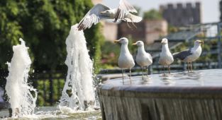 Türkiye'ye Eyyam-ı Bahur sıcakları geliyor