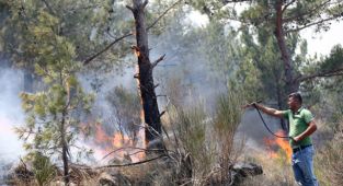 Vatandaşlar, traktör ve hafif ticari araçlarıyla su taşıdıkları yangın bölgelerindeki söndürme çalışmalarına destek veriyor.