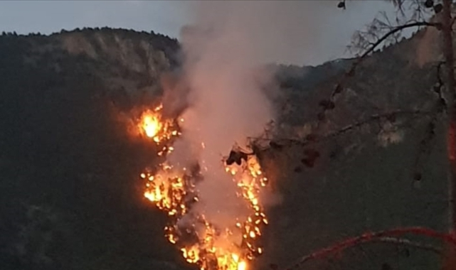 Adana'nın Saimbeyli ilçesinde çıkan orman yangını kontrol altına alındı