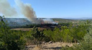 Ağaçlandırma sahasında çıkan yangına müdahale ediliyor