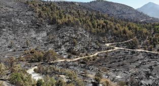Antalya'daki yangın ile Kastamonu ve Sinop'taki sel bölgesi için acele kamulaştırma kararı