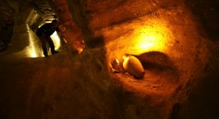 At ahırı müzeye dönüştürülüyor