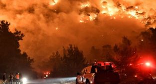 Atina Yakınlarındaki Orman Yangınlarında 80-90 Bin Dönüm Arazi Kül Oldu