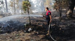 Aydın'ın Karacasu ilçesinde çıkan orman yangınını kontrol altına alma çalışmaları havadan ve karadan yapılan müdahalelerle devam ediyor.
