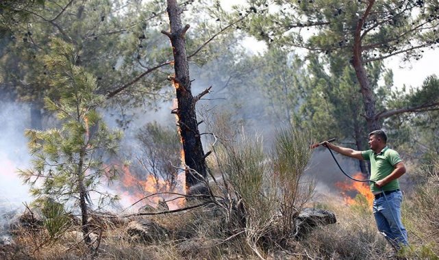 Bakan Yanık: 2013'ten bu yana 542 bin kişiye psikososyal destek hizmeti verdik