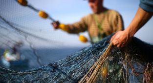 Balıkçılıkta av sezonu başlıyor