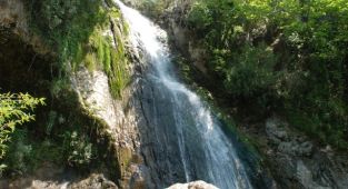 Başkan Soyer: Doğamızı korumak için her alanda mücadele edeceğiz