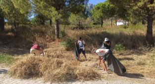 Belediye ve STK’lar el ele verdi, Saip ağaçlık alan tertemiz oldu