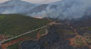Bodrum'daki orman yangınını söndürme çalışmaları devam ediyor
