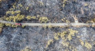 Heybeliada'da yangın nedeniyle zarar gören alan havadan görüntülendi