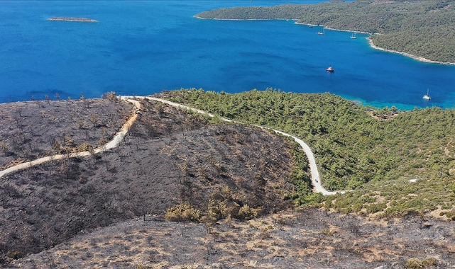 Milas yangını kontrol altına alındı