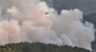 Muğla'da 5 yangına havadan ve karadan müdahale ediliyor