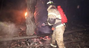 Rusya'daki orman yangınları 1 milyon hektar alanı geçti