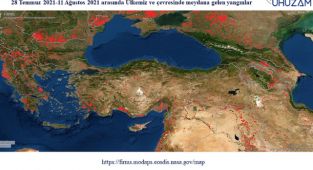 Yanan 85 bin futbol sahası büyüklüğündeki alan uzaydan görüldü