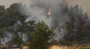 Yunanistan'da orman yangınları sürüyor