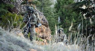 Bitlis'te 4 terörist etkisiz hale getirildi