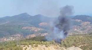 Bodrum'da ormanlık alanda çıkan yangına müdahale ediliyor