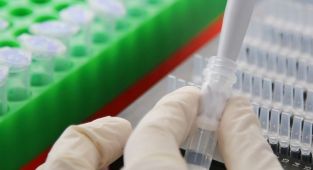 DSÖ, Kovid-19'un kökenine ilişkin araştırmalarına tekrar başlayacak