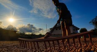 Fındık alım ödemeleri başladı