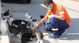 Gaziemir Belediyesi can dostların yaşam hakkına dikkat çekiyor